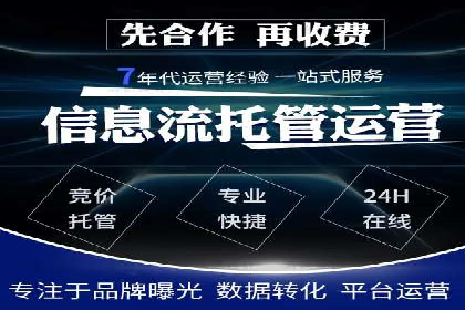 行业领先企业的SEM运营策略案例解析